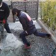 和泉市で庭石の撤去の巻！