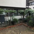 和泉市青葉台にて行う　草抜き及び剪定作業！！