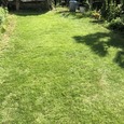 和泉市緑が丘にて行う　お庭の芝刈り作業！